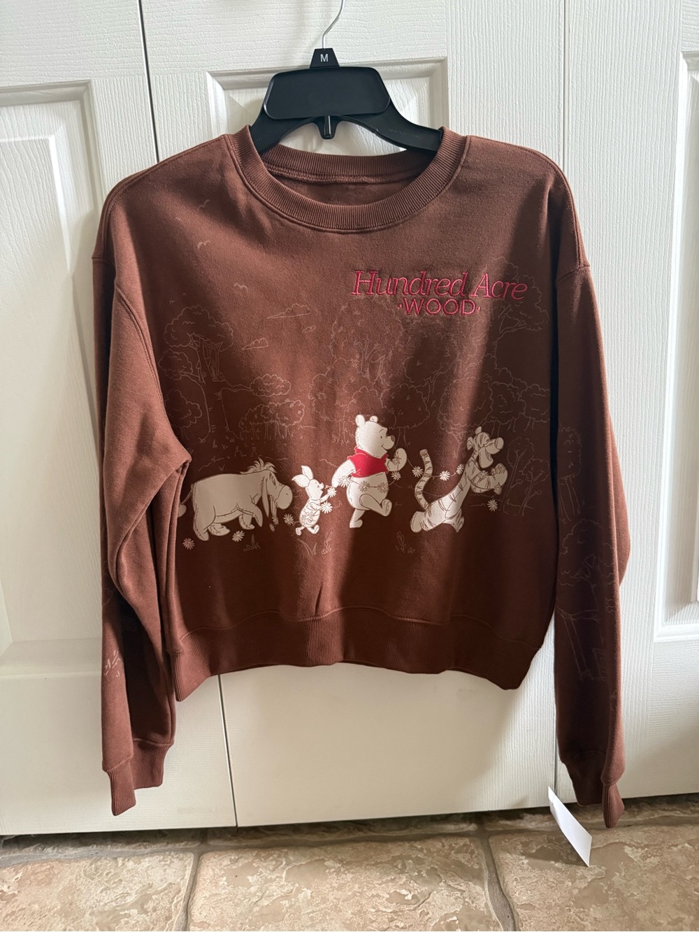 Hundred Acre Wood Winnie the Pooh Brown Sweatshirt- medium